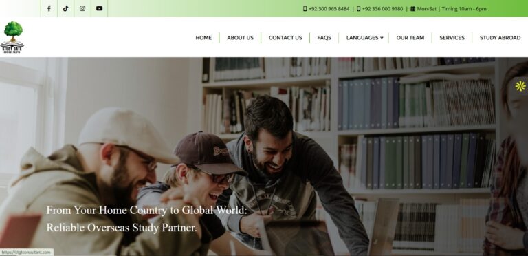 stgtconsultant.com